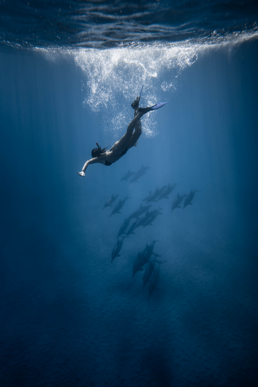 Plongée avec tuba Photographie sous-marine d'une plongeuse dans un banc de poisson