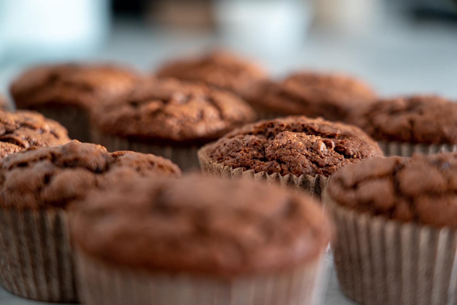 Muffins au chocolat tout juste sortis du four